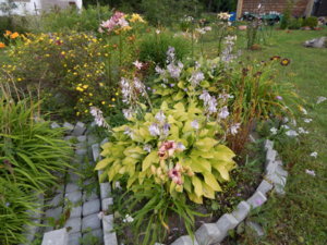 DSCN3602.JPG