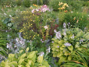 DSCN3603.JPG