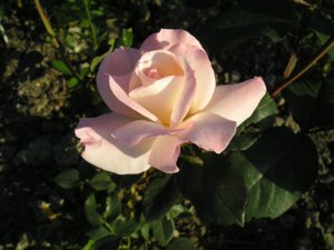 wXpo1e6yQ3Y.jpg