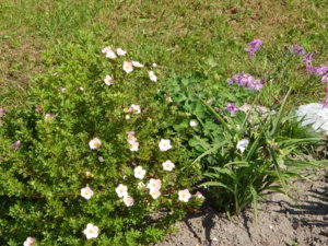 DSCN3393.JPG