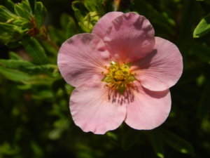 DSCN3397.JPG