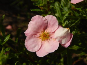 DSCN3563.JPG