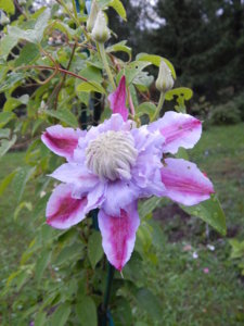 DSCN3768.JPG