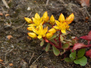 DSCN3672.JPG