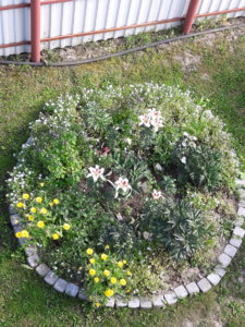 20190810_155358.jpg
