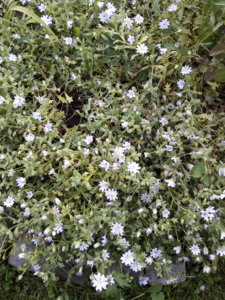 20190810_092813.jpg