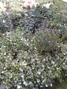 20190810_092749.jpg