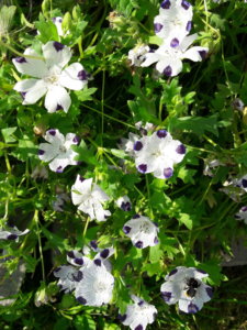 20190810_165624.jpg