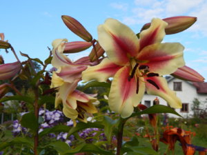 DSCN3838.JPG