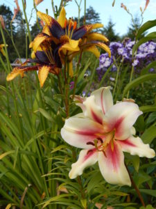 DSCN3839.JPG