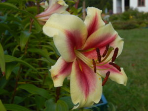 DSCN3840.JPG