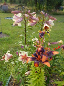 DSCN3841.JPG
