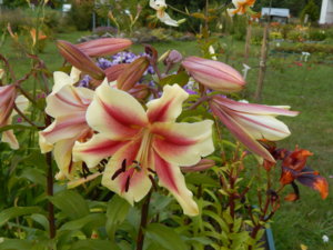 DSCN4071.JPG