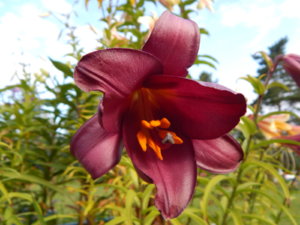 DSCN3854.JPG