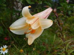 DSCN3923.JPG