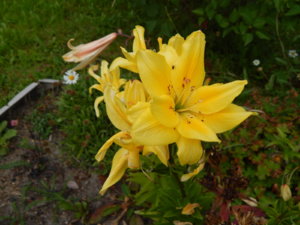DSCN3922.JPG