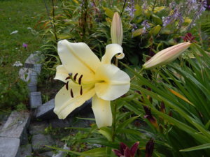 DSCN3935.JPG