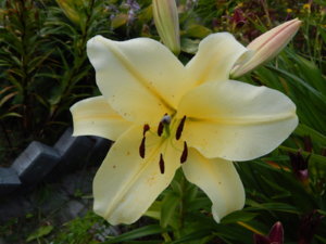 DSCN3936.JPG