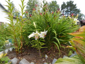 DSCN3955.JPG