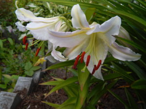 DSCN3958.JPG