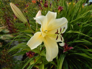 DSCN4090.JPG