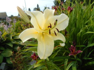 DSCN4091.JPG