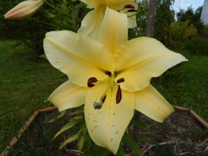 DSCN3965.JPG