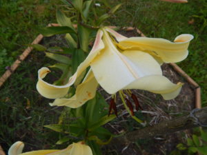 DSCN3966.JPG