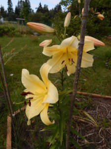 DSCN3967.JPG