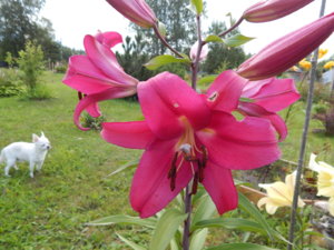 DSCN3968.JPG