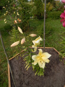 DSCN4085.JPG