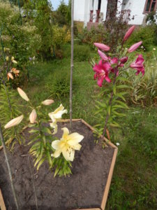 DSCN4086.JPG