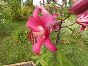 DSCN4087.JPG