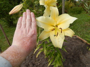 DSCN4088.JPG