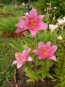 DSCN3889.JPG