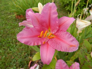 DSCN3890.JPG
