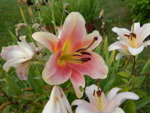 DSCN3892.JPG