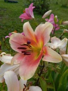 DSCN3893.JPG