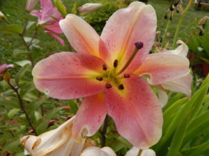 DSCN4119.JPG