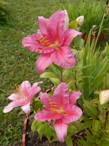 DSCN4120.JPG