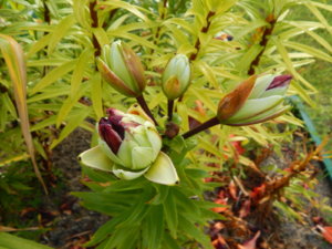 DSCN3849.JPG