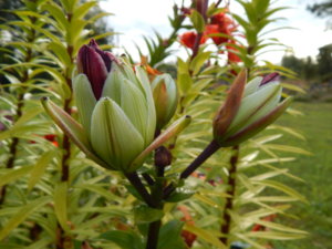 DSCN3850.JPG