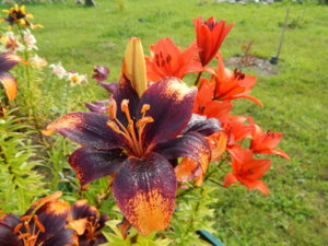 DSCN3851.JPG