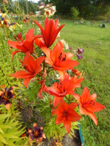 DSCN3852.JPG
