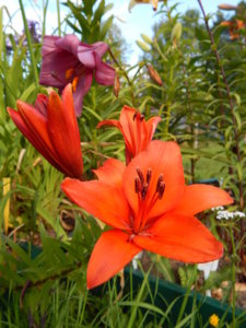 DSCN3855.JPG