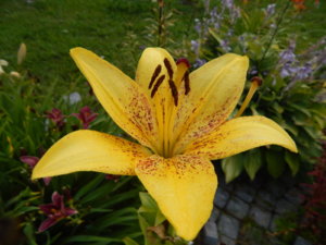 DSCN3952.JPG