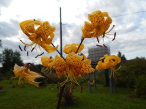 DSCN3969.JPG