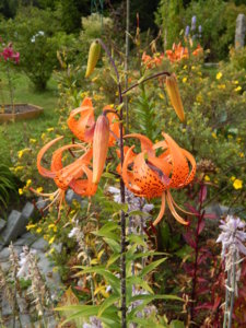 DSCN4093.JPG