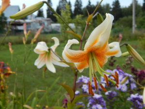 DSCN4069.JPG