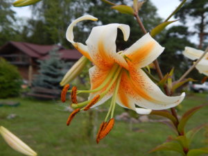 DSCN4073.JPG